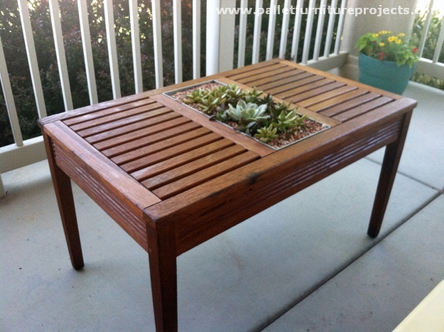 Reclaimed Pallet Succulent Table